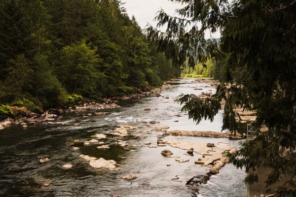 Salish Lodge & Spa by null