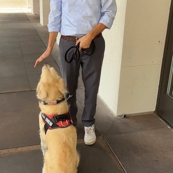 Black Belt Canine Academy - Lead Trainer with Service Dog - Pet Training Near Me - Tucson, Arizona Black Belt Canine Academy - Lead Trainer with Service Dog - Pet Training Near Me - Tucson, Arizona