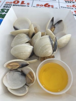 New York State Fairgrounds by null