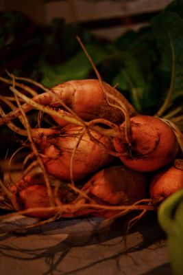 SoBro Farmers Market by null