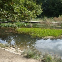 Pappelteich
