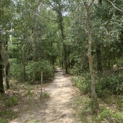 Florida Greenway Trailhead & Playground - Dirt trails run through the loops
