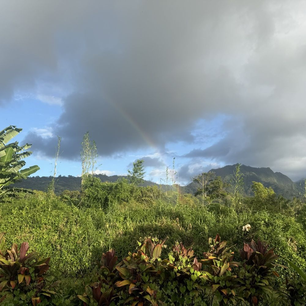Ama - Backyard seating area - Cocktail Bars Near Me - Hanalei, Hawaii