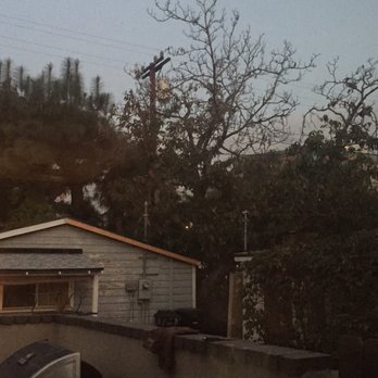 Cascade Landscaping and Tree Service - The tree they removed. - Tree Services Near Me