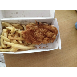 The Honest Chicken - You might as well throw your money down the drain