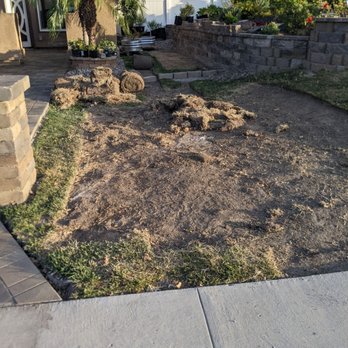 West Coast Landscaping - They left the yard like this. - Gardeners Near Me - Santa Ana, California West Coast Landscaping - They left the yard like this. - Gardeners Near Me - Santa Ana, California