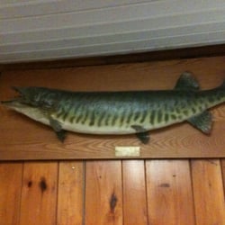 Dansville Fish & Game Club