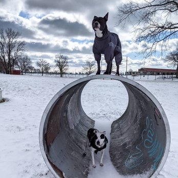 Pawlite Best Friends - Impulse control in a new and exciting environment! - Pet Training Near Me Pawlite Best Friends - Impulse control in a new and exciting environment! - Pet Training Near Me