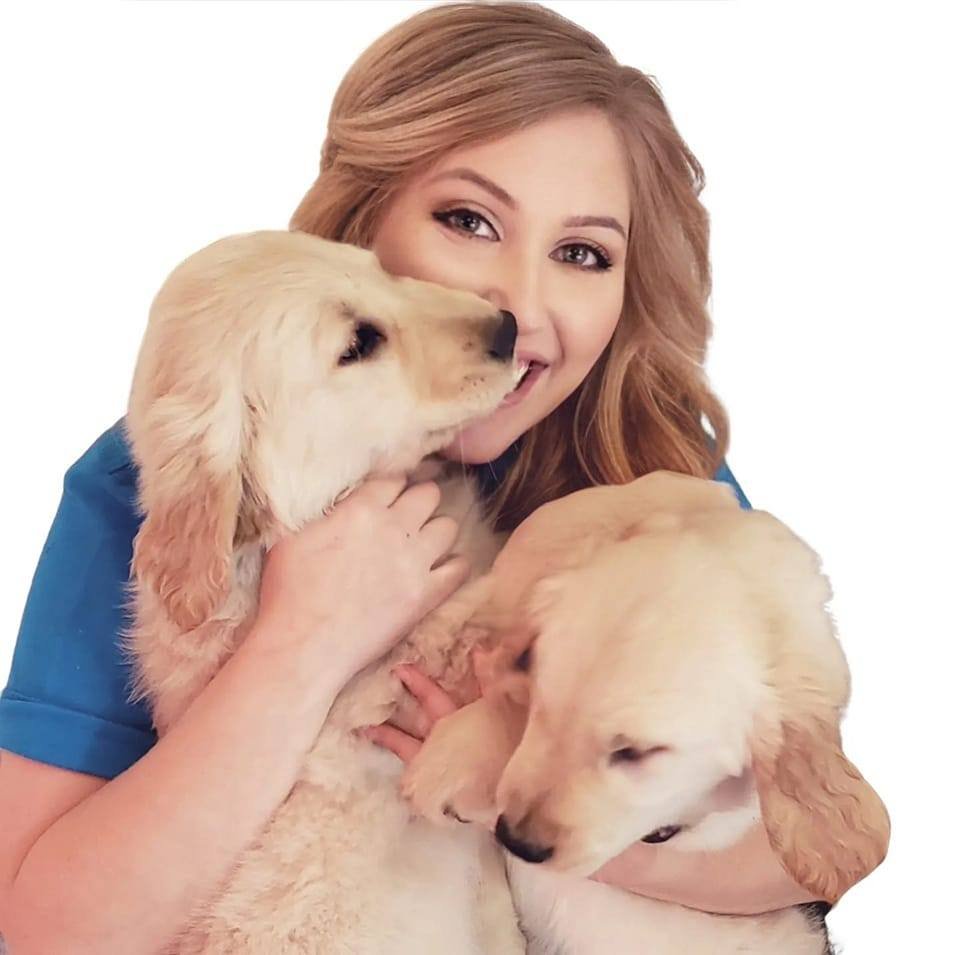 CANINE UPLIFTED Request Consultation 500 Florida Ave S, Lakeland