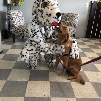 Bowties Pet Salon - Pet Groomers Near Me - Roscoe, Illinois Bowties Pet Salon - Pet Groomers Near Me - Roscoe, Illinois