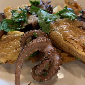 LUCA - Baby octopus small plate - Italian Near Me - Lancaster, Pennsylvania