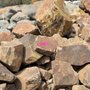 Photo of Southwest Boulder & Stone