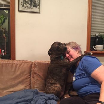 Sean Casey Animal Rescue - Hug-time with her Mom! - Animal Shelters Near Me - Brooklyn, New York