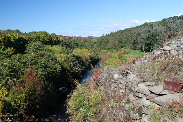 Wilklow Orchards by null