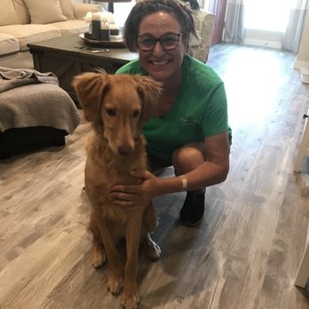 Diamond Dogs Training - Pet Training Near Me