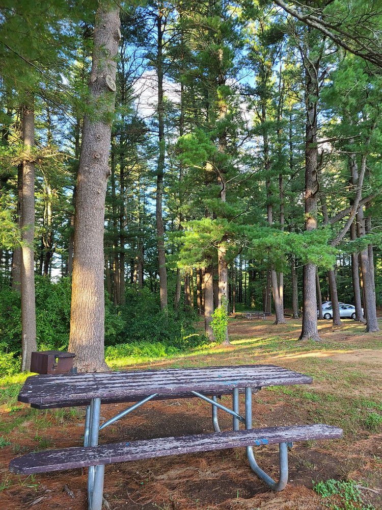 Mansfield Hollow State Park Logo