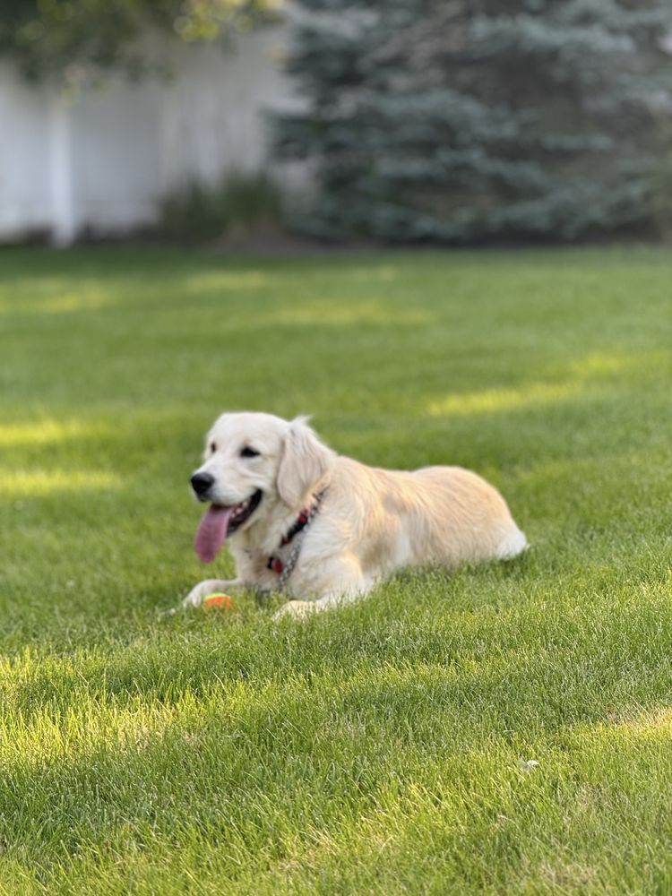 Sit Social - wedding in Chicago, IL