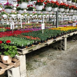 Wells Nursery & Greenhouses