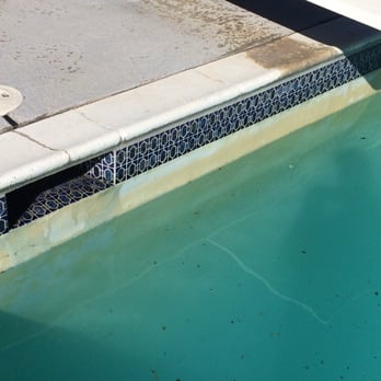 Elite Pool Tile Cleaning - After - this looks brand new! - Pool Cleaners Near Me - Sloughhouse, California Elite Pool Tile Cleaning - After - this looks brand new! - Pool Cleaners Near Me - Sloughhouse, California