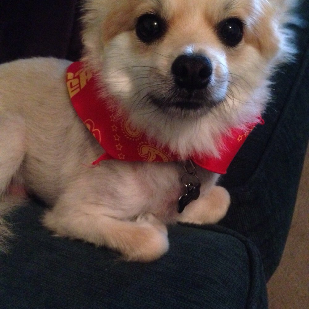 Beericana - Our mystery present was bandana - Yelp Events Near Me - Wake, North Carolina