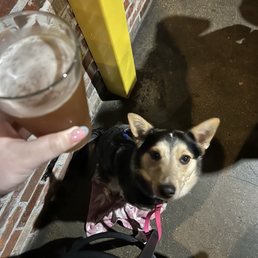 Dog friendly! :) Dog friendly! :)