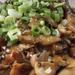 Chicken & Beef Teriyaki Fries Chicken & Beef Teriyaki Fries