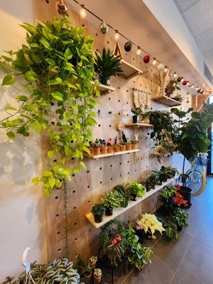 KOKEE TEA - ELLICOTT CITY - Updated January 2026 - 89 Photos & 35