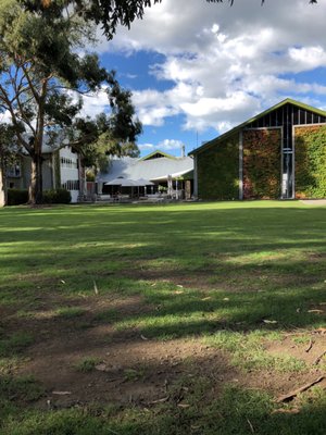 Cloudy Bay Vineyards by null
