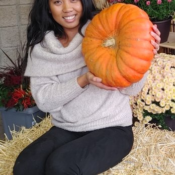 Lakeside Garden Gallery - Pumpkins in the fall - Home Decor Near Me - Brampton, Ontario Lakeside Garden Gallery - Pumpkins in the fall - Home Decor Near Me - Brampton, Ontario