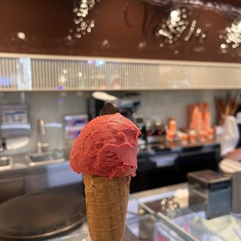 Venchi - Raspberry Gelato Baby Size - Gelato Near Me - Santa Clara, California Venchi - Raspberry Gelato Baby Size - Gelato Near Me - Santa Clara, California