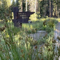 Redwood Meadow Campground