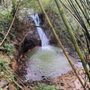 Boss Frog's Snorkel, Bike, & Beach Rentals - Kapaa