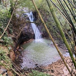 Boss Frog's Snorkel, Bike, & Beach Rentals - Kapaa - Waterfall at end of tour