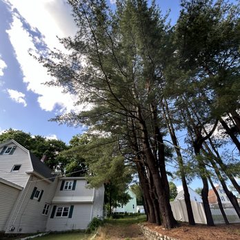 Hobbs & Sons Services - Tree Services Near Me Hobbs & Sons Services - Tree Services Near Me