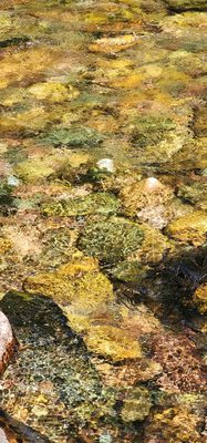 Greenough Park by null