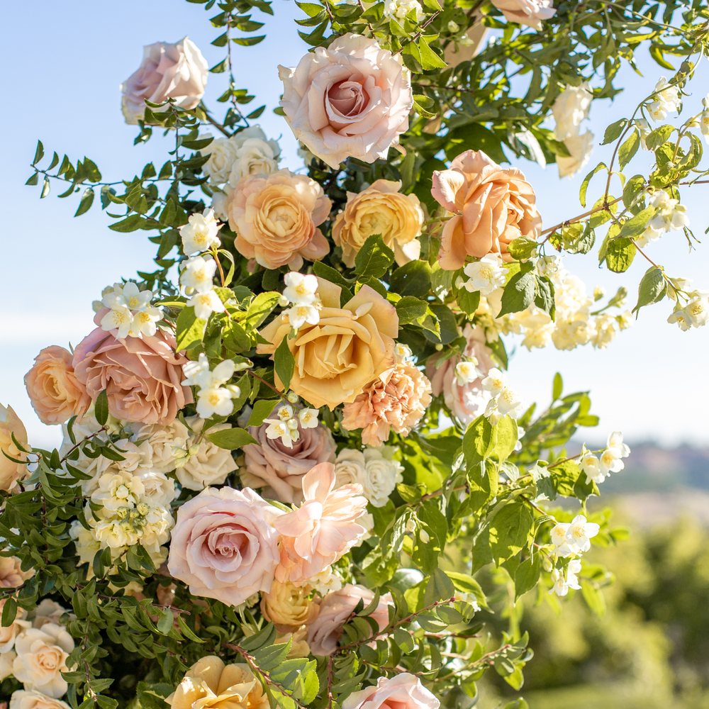Le Champagne Projects - Florists Near Me Le Champagne Projects - Florists Near Me