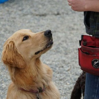 Nanaimo Pet Services - Pet Training Near Me - Nanaimo, British Columbia Nanaimo Pet Services - Pet Training Near Me - Nanaimo, British Columbia