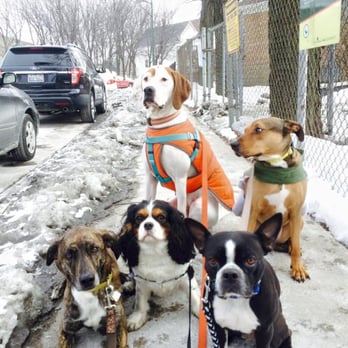 Fido's Gotta Go - Dog Walkers Near Me - Chicago, Illinois Fido's Gotta Go - Dog Walkers Near Me - Chicago, Illinois