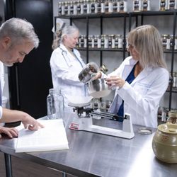 Dragon Rises College of Oriental Medicine