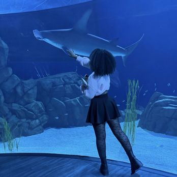 Georgia Aquarium - Careful now - Aquariums Near Me - Atlanta, Georgia Georgia Aquarium - Careful now - Aquariums Near Me - Atlanta, Georgia