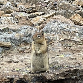 Peyto Lake - Friend at the Summit - Lakes Near Me - Banff, Alberta Peyto Lake - Friend at the Summit - Lakes Near Me - Banff, Alberta
