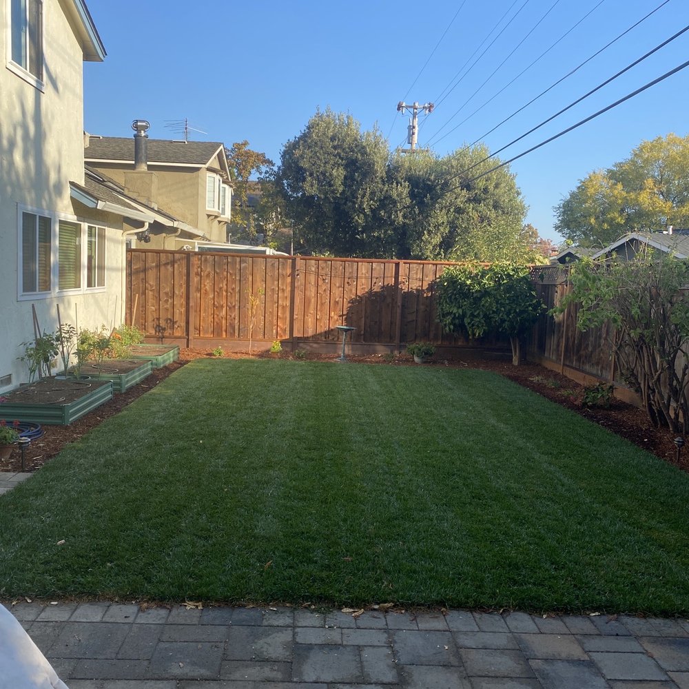 Our new backyard!!! Our new backyard!!!