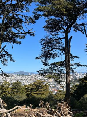 Buena Vista Park by null