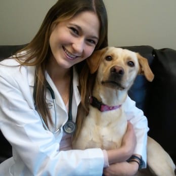 Maplebrook Pet Care Center - Dr. Amberleigh Barker - Veterinarians Near Me - Maplewood, Minnesota Maplebrook Pet Care Center - Dr. Amberleigh Barker - Veterinarians Near Me - Maplewood, Minnesota