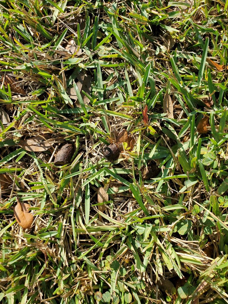 SUMMIT VILLAGE CONDOMINIUMS Updated July 2024 201 Esplanade Way