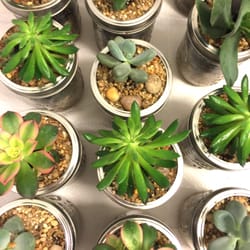 user provided C J Cook's Discount Garden Center photo