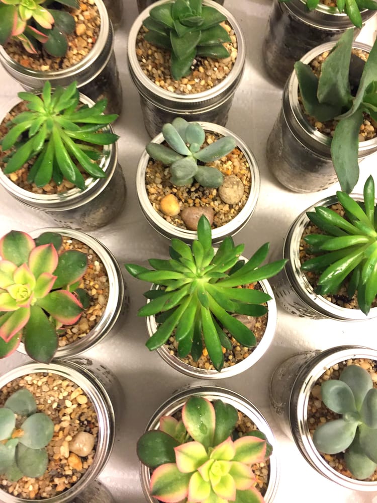 C J COOK’S DISCOUNT GARDEN CENTER Updated May 2024 2200 State Rd