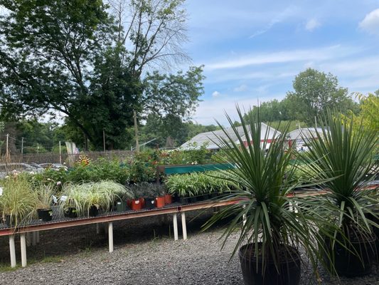 Van Houten Farms by null