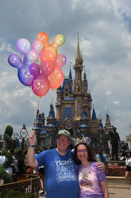 Cinderella Castle by null