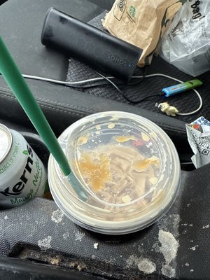 Starbucks Coffee Company by null